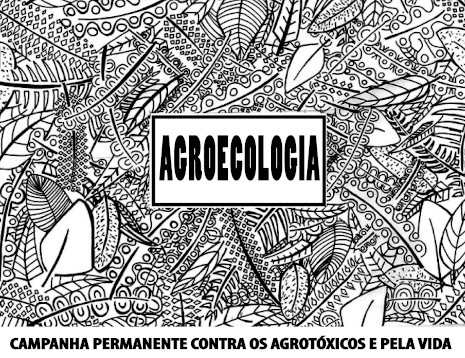 Camisa Agroecologia