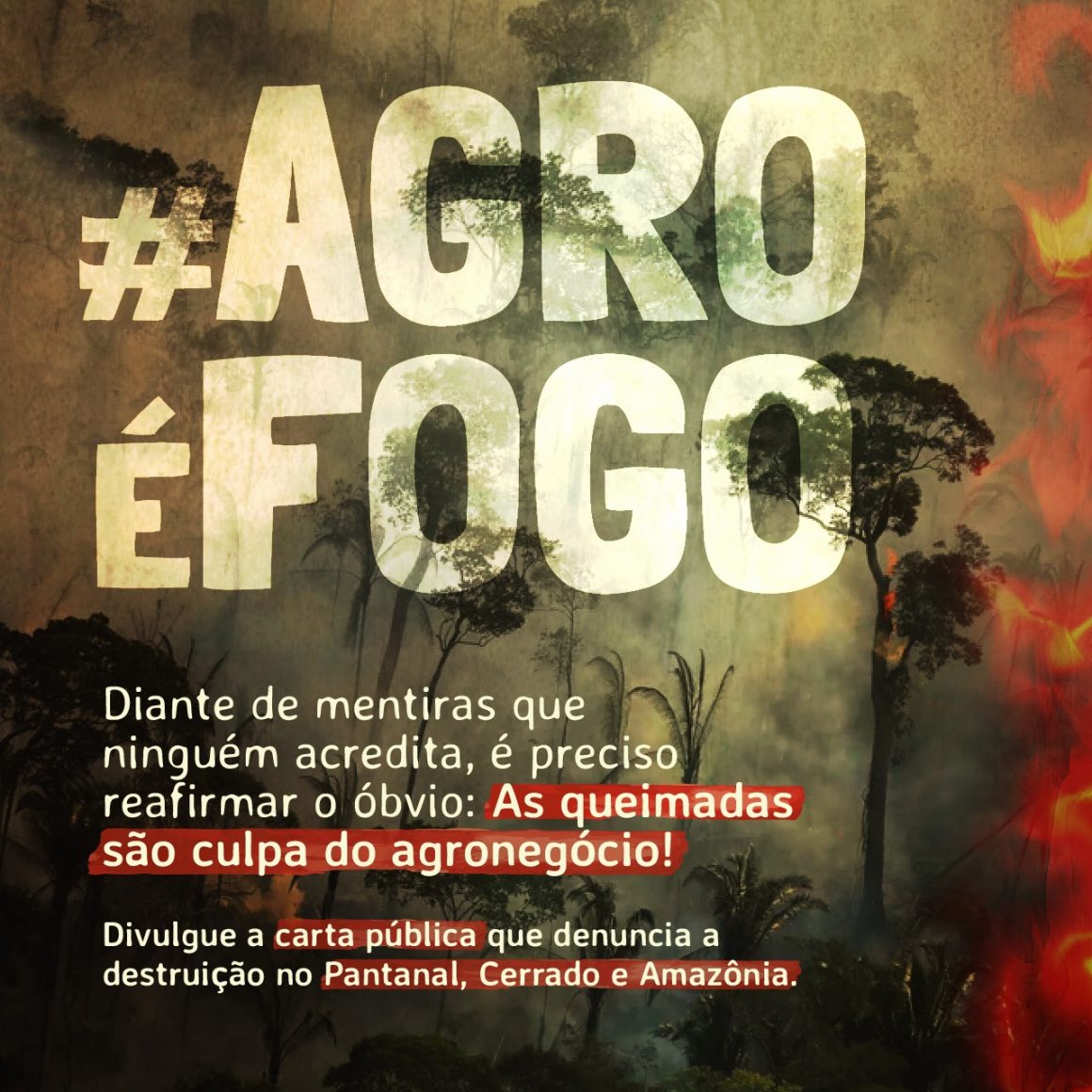 Sobre Os Agrotoxicos Assinale A Alternativa Incorreta