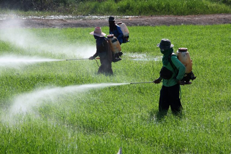 Agrotóxicos jogados por avião intoxicam moradores, nascentes e