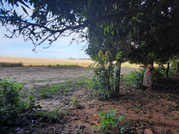 comunidade quilombola Poconé