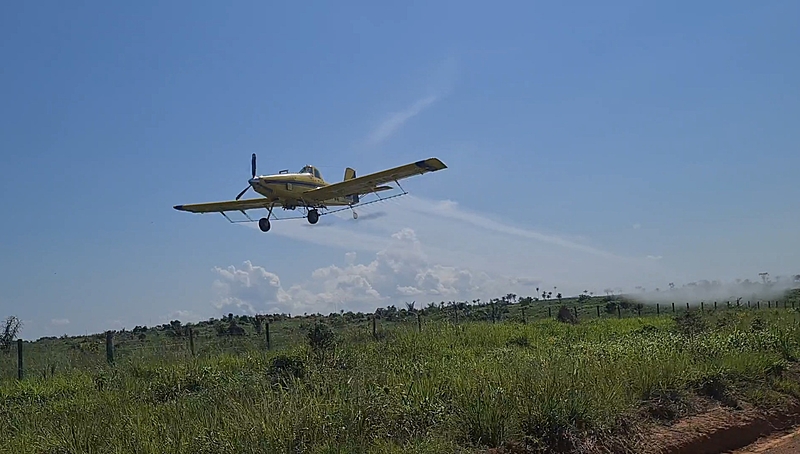 Poeira tóxica na colheita de soja em quilombo – Mato Grosso