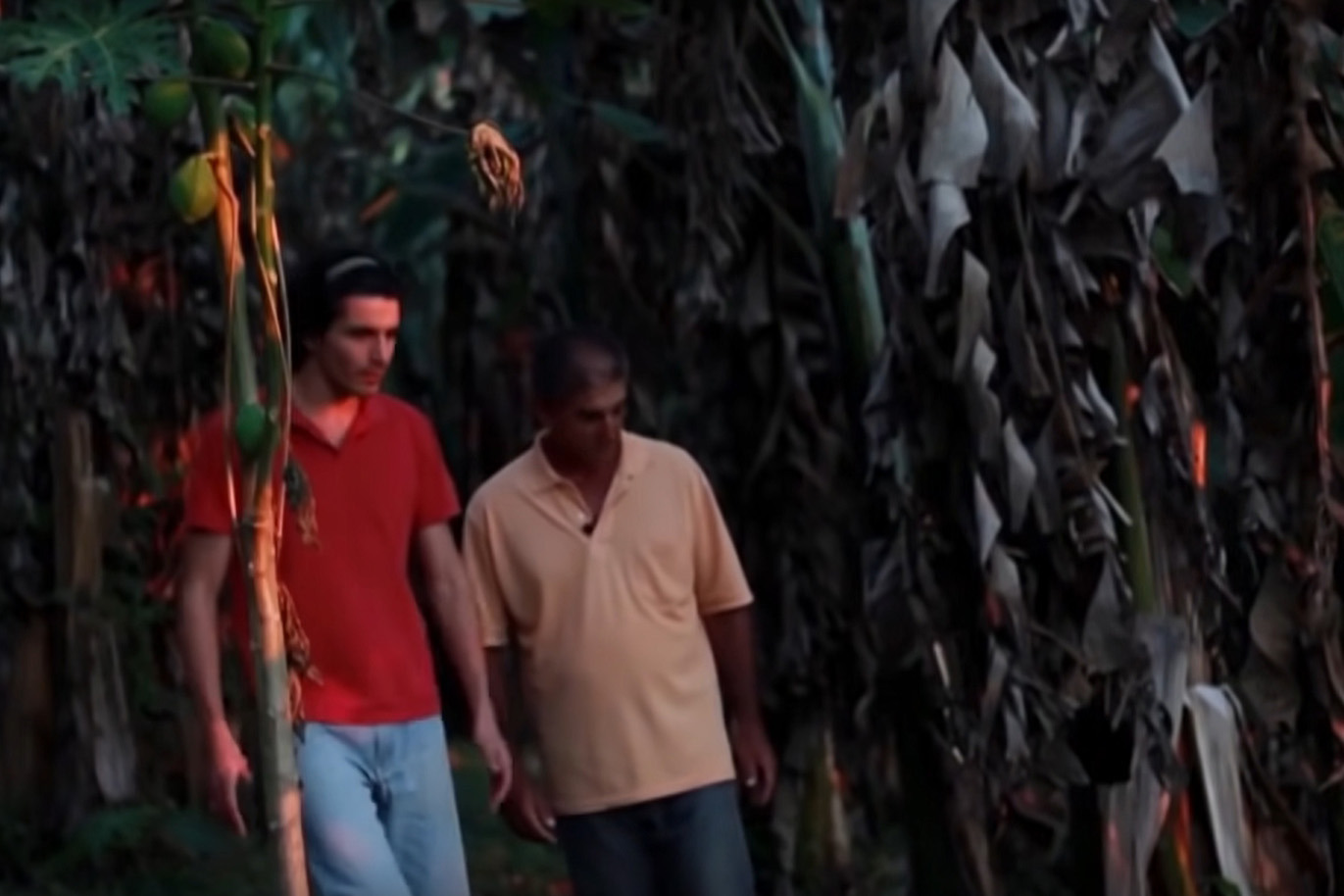 Fotografia extraída do documentário “O Uso Inseguro dos Agrotóxicos”