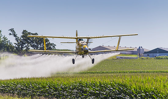 Maioria do STF proíbe pulverização aérea de agrotóxicos no Ceará