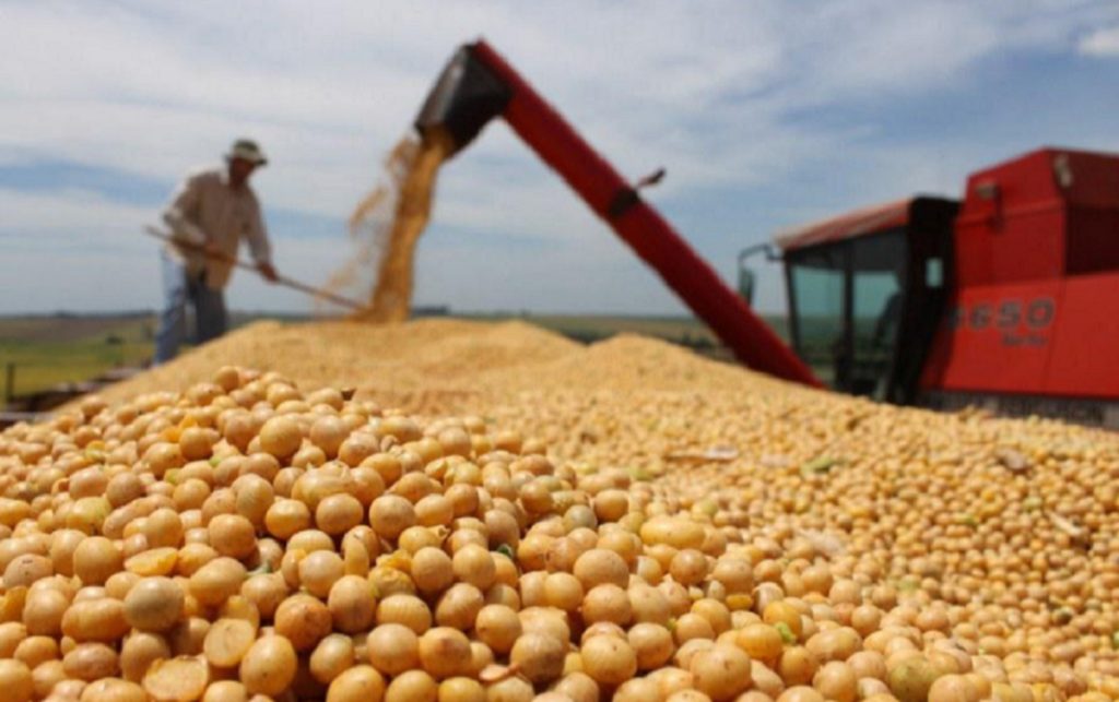 Renúncia fiscal: soja recebe quase R$ 60 bi ao ano, o dobro da cesta básica