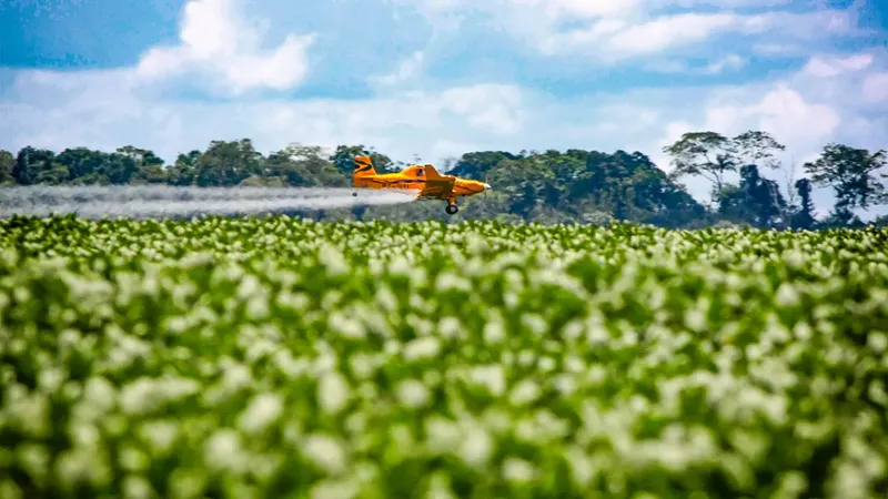 Maranhão avança na proibição de pulverização aérea de agrotóxicos