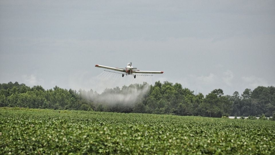 Guerra química: Organizações identificam 208 comunidades vitimadas por agrotóxicos no Maranhão em 2024