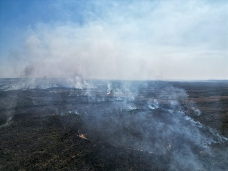 Pesquisadora aborda conjuntura climática e alternativas para enfrentar essa realidade