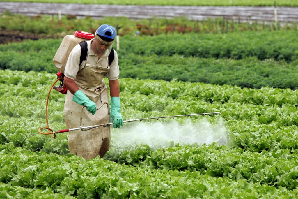 Empresas deixaram de pagar R$ 10,8 bilhões de impostos sobre agrotóxicos só até agosto