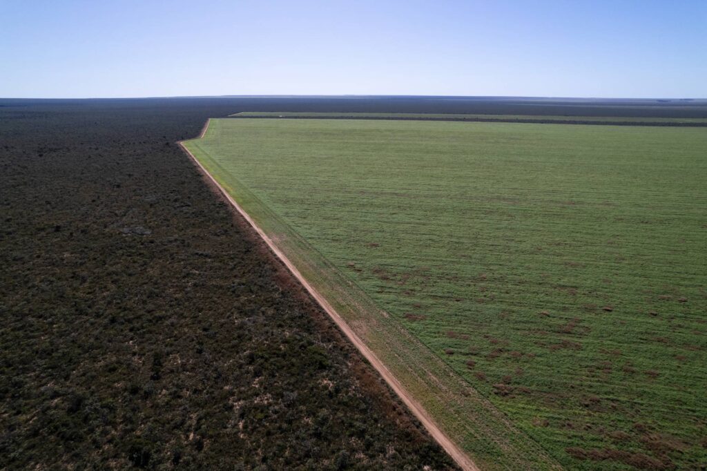 Conflitos por terra se acirram em áreas de expansão do agro, diz CPT