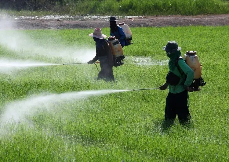 Assembleia de Mato Grosso aprova lei que permite aplicação de agrotóxicos perto de rios e nascentes