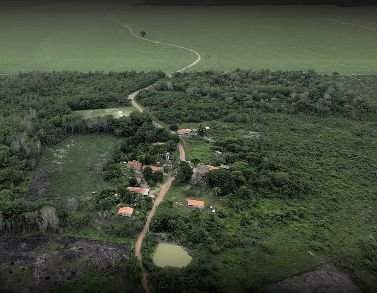 RAMA denuncia contaminação por agrotóxicos, adoecimento e violações de direitos em comunidades tradicionais de Buriti (MA)