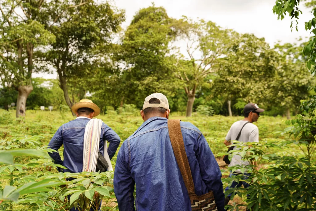 Na Colômbia, camponeses ocupam terras improdutivas, aprendem agroecologia e pressionam por reforma agrária popular