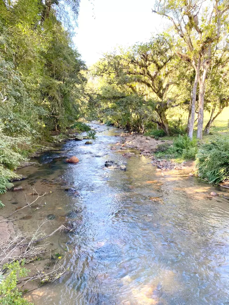 Levantamento aponta que Água de Rio Negrinho tem resíduo de agrotóxico banido no Brasil