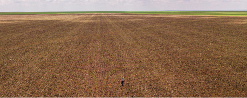 Enquanto soja avança, estados do Matopiba vivem redução de milhares de hectares colhidos de arroz, feijão e mandioca