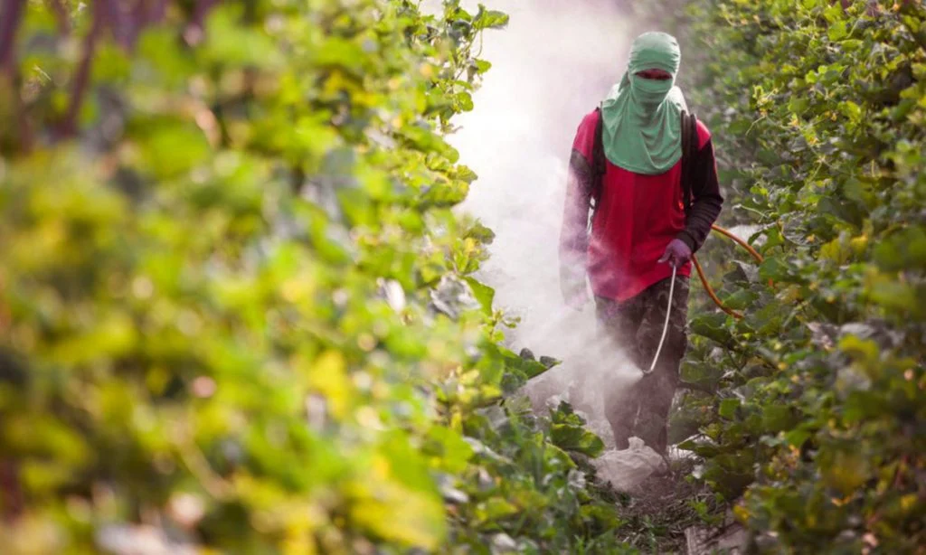 MPT debate impactos dos agrotóxicos na saúde e alerta para subnotificação de doenças no campo