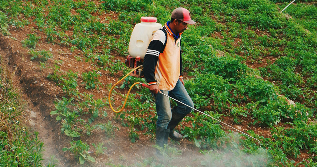 Contaminação passiva por agrotóxicos em agricultores continua sem solução
