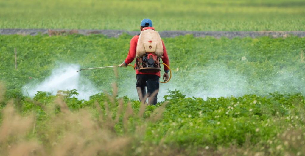 Tocantins registrou 427 notificações de intoxicação por agrotóxicos em 2025; alta é de 8,7% em relação ao ano anterior