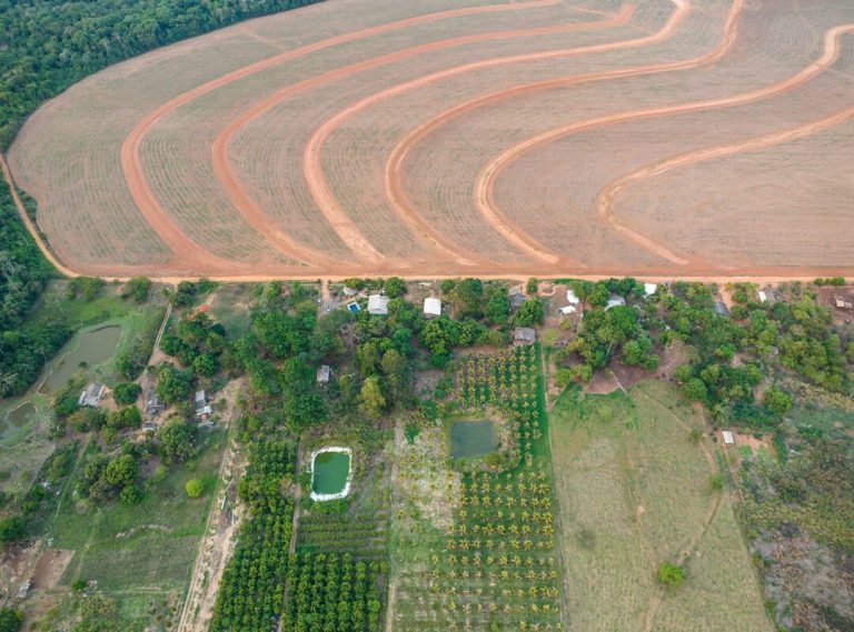“Entre nós, a dor nacional”: Agronegócio, desertos verdes e a ameaça à natureza