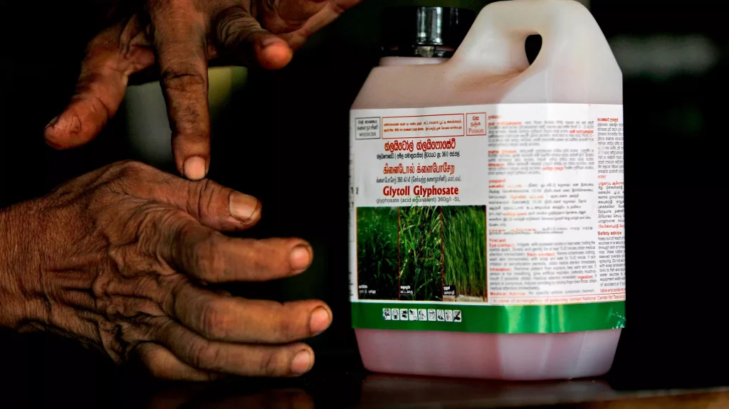 Atuação da OCDE em caso de envenenamento por agrotóxicos evidencia sua ineficácia, diz especialista