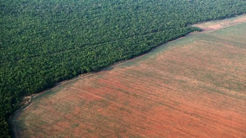 O Brasil está conseguindo conciliar a expansão agrícola com a proteção da saúde da população e do meio ambiente?