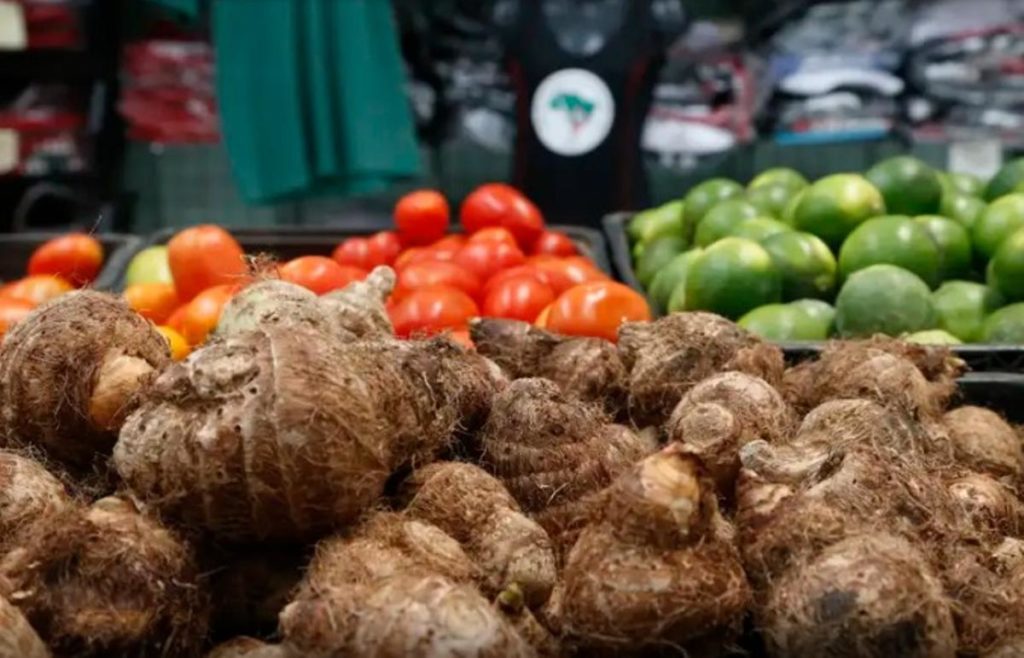 Proposta de Renato institui Zonas Livres de Agrotóxicos no Ceará