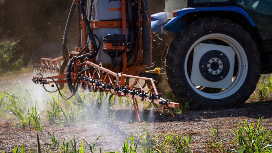 TJMT derruba distância zero para agrotóxicos em pequenas propriedades